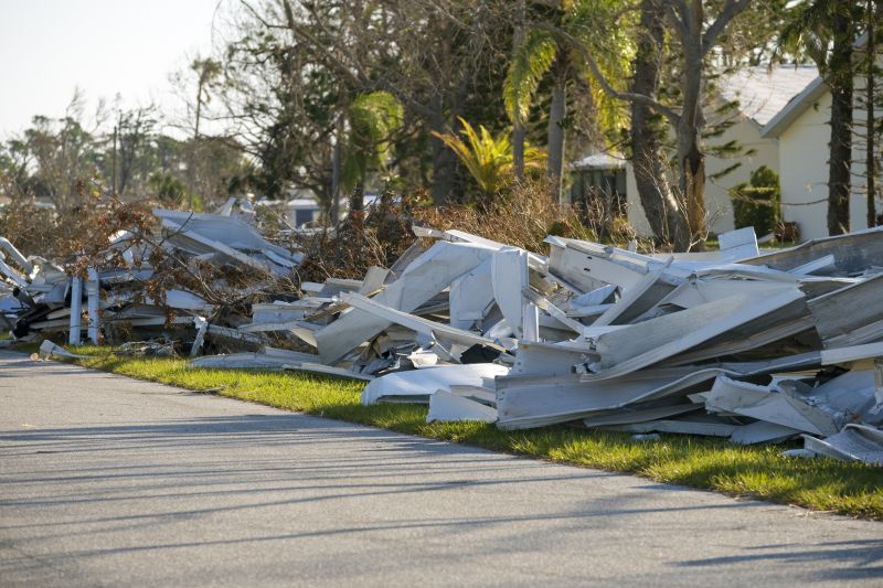 Shed Demolition